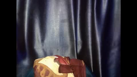 verywetpussy  online show from November 18, 1:08 am