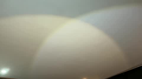 via_olala online show from November 7, 8:28 am