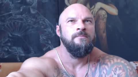 viking online show from August 3, 9:26 am