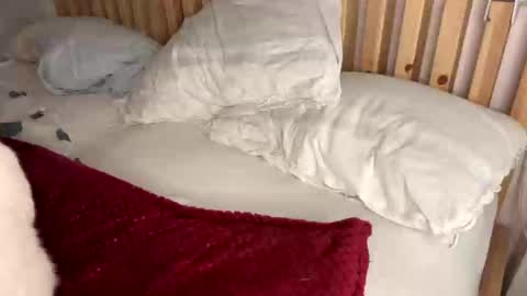 Vince online show from February 1, 10:23 pm