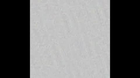 Vivian online show from October 10, 11:27 am