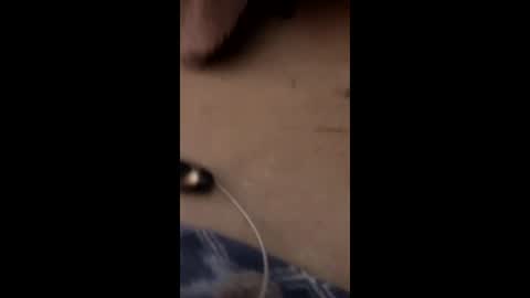 vladik_russian online show from March 28, 5:14 pm