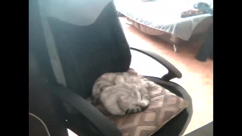 vodila3001 online show from March 19, 5:35 am