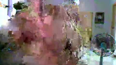 Snapshot of walleja chatting on October 1, 12:59 pm walleja online show from October 1, 12:59 pm