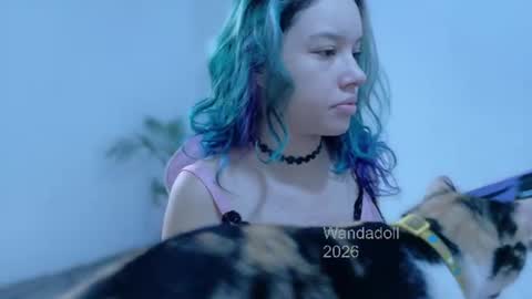 Wanda online show from June 11, 12:14 pm