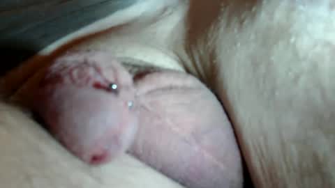 wants online show from September 16, 1:13 pm