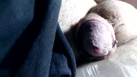 wants online show from November 6, 2:42 pm