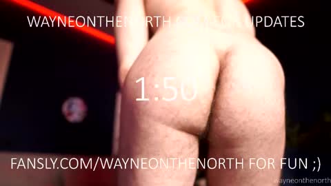 waynenorth online show from April 7, 2:30 pm