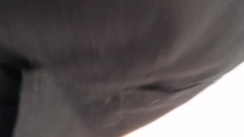 Trixie 3 online show from January 6, 2:54 pm