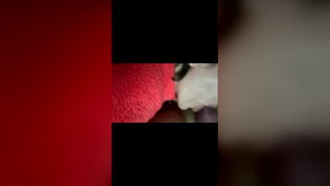 welcomhome online show from January 9, 1:39 pm