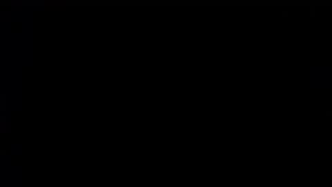 wellingtont online show from December 3, 2:01 am