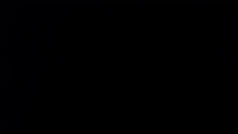 wellingtont online show from November 7, 3:36 pm