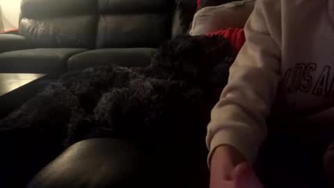 wellocal online show from December 21, 8:04 pm