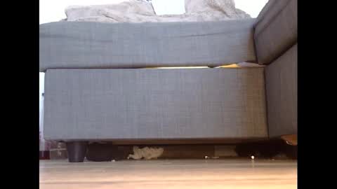 wet_pants2022 online show from February 27, 4:43 pm