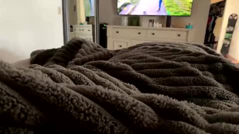 whitecockboi69 online show from November 9, 2:31 pm