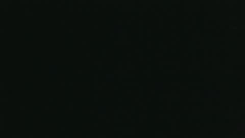 whitehead_lion online show from October 26, 5:56 pm