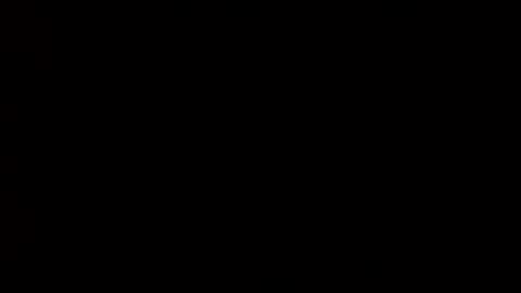 whitehead_lion online show from February 14, 7:02 pm