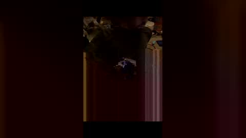 whitehorsecocklover online show from April 13, 7:56 am