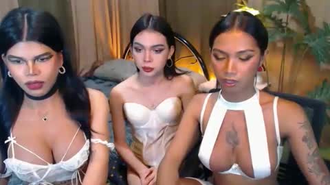 wildara online show from October 23, 11:01 am