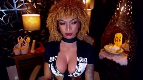 wildara online show from March 3, 7:21 am