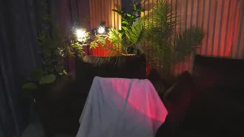 Alena online show from November 19, 7:08 am