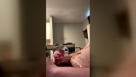 will688685483 online show from April 18, 5:37 pm