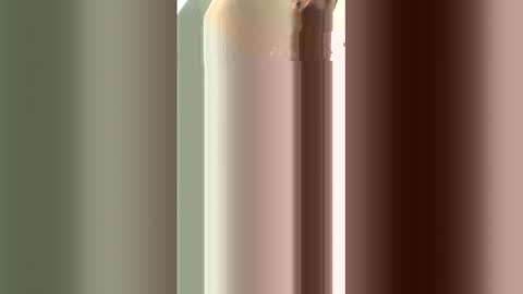 williamcody653 online show from February 13, 9:01 am