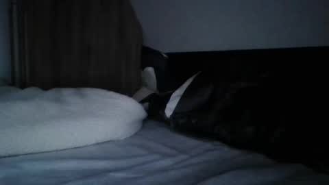 papa bear online show from February 11, 9:56 pm