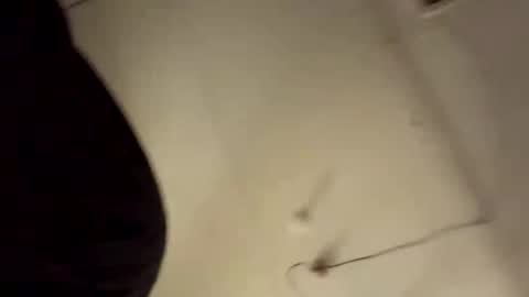 willy_dirk online show from November 1, 8:35 am