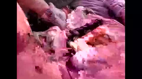 Snapshot of wowokthankyou chatting on December 3, 7:27 am Wowokthankyou online show from December 3, 7:27 am