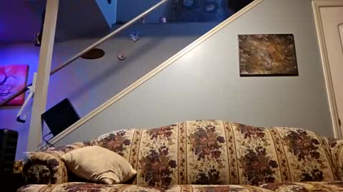 BONER DONOR online show from February 16, 7:15 am