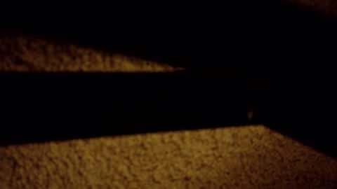 Wyatt online show from March 8, 6:28 am