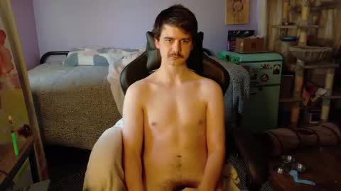 Wyatt online show from November 5, 7:38 pm