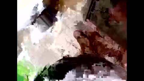 Blk online show from March 22, 9:52 pm