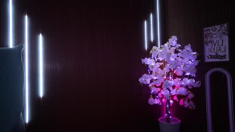 Anne online show from December 3, 5:08 am