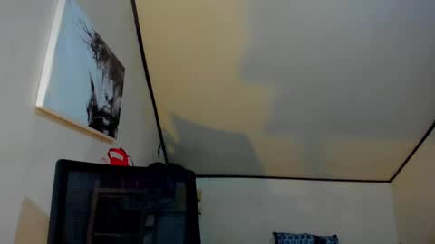 DIANNE online show from March 12, 10:16 am