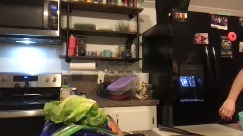 gdamnv online show from December 24, 1:06 pm