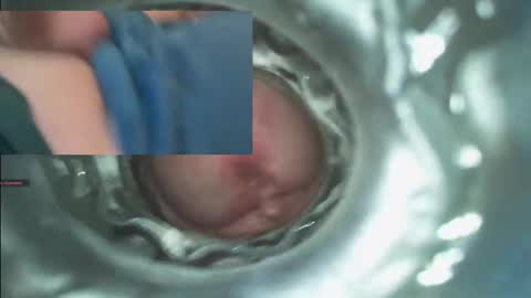 xoxowtf online show from December 11, 4:18 am