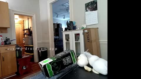 Johnny online show from February 10, 6:24 pm