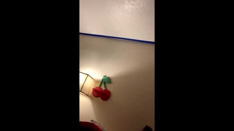 xtika online show from January 19, 8:18 am