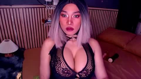 cinddy online show from November 13, 11:46 am