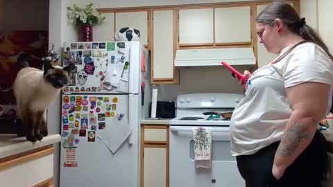 Strawberry Jane online show from December 14, 5:07 am