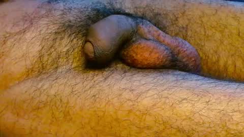 Prince online show from February 7, 2:53 pm