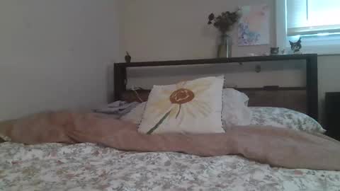 xxxsophiaday online show from December 14, 6:14 pm