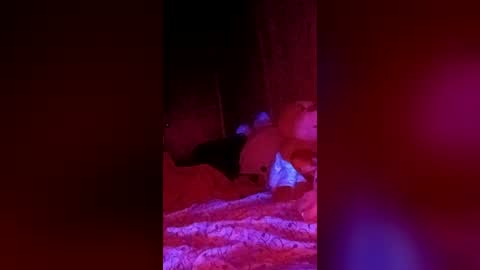 xxxtiffinyxxx online show from June 21, 6:09 am