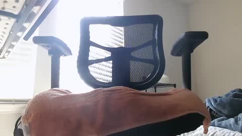 yahbuddy online show from October 3, 7:55 pm