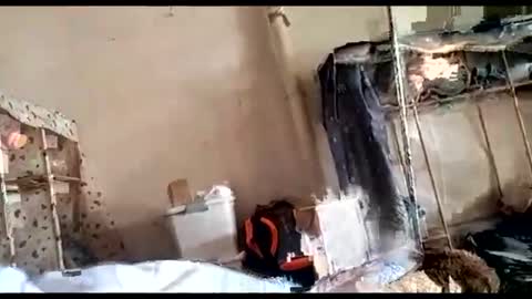 yanqingqing online show from April 12, 7:01 am