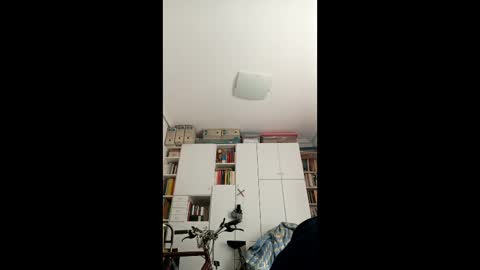 ymasb online show from December 17, 10:00 am