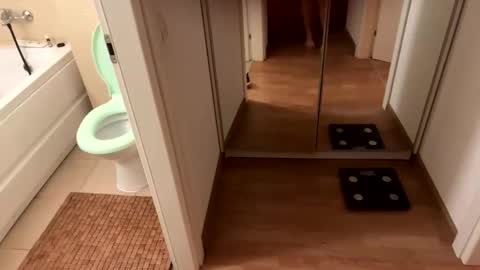 yonise909383 online show from February 3, 12:36 am