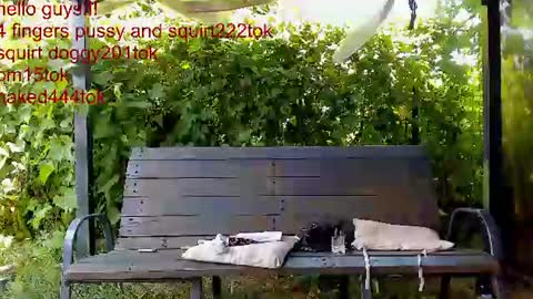 private on 18 per minute start private 500 tokensOnlyfans  online show from July 5, 10:22 am